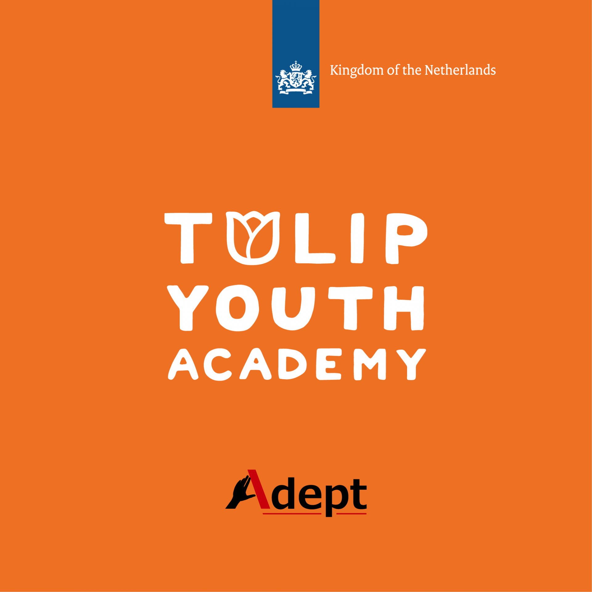 Tulip Youth Academy - ediția a III-a